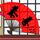蜘蛛侠
